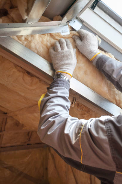 Best Insulation Maintenance and Repair in Fort Calhoun, NE