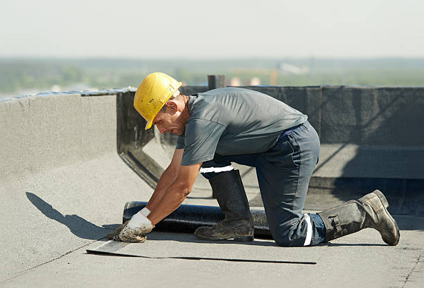 Best Specialized Insulation Services in Fort Calhoun, NE